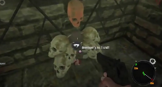 Brown Skull Dead Island