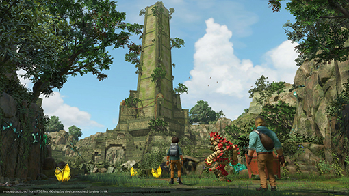 ”Knack